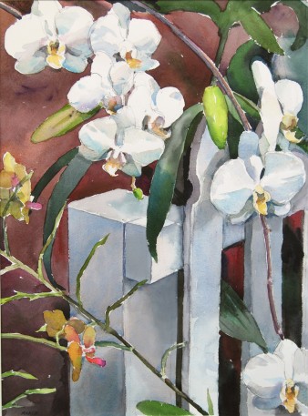 White Orchids