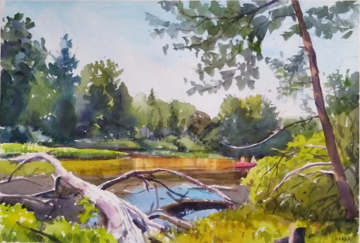 Canoeing the Crystal River